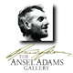 Ansel Adams Gallery
